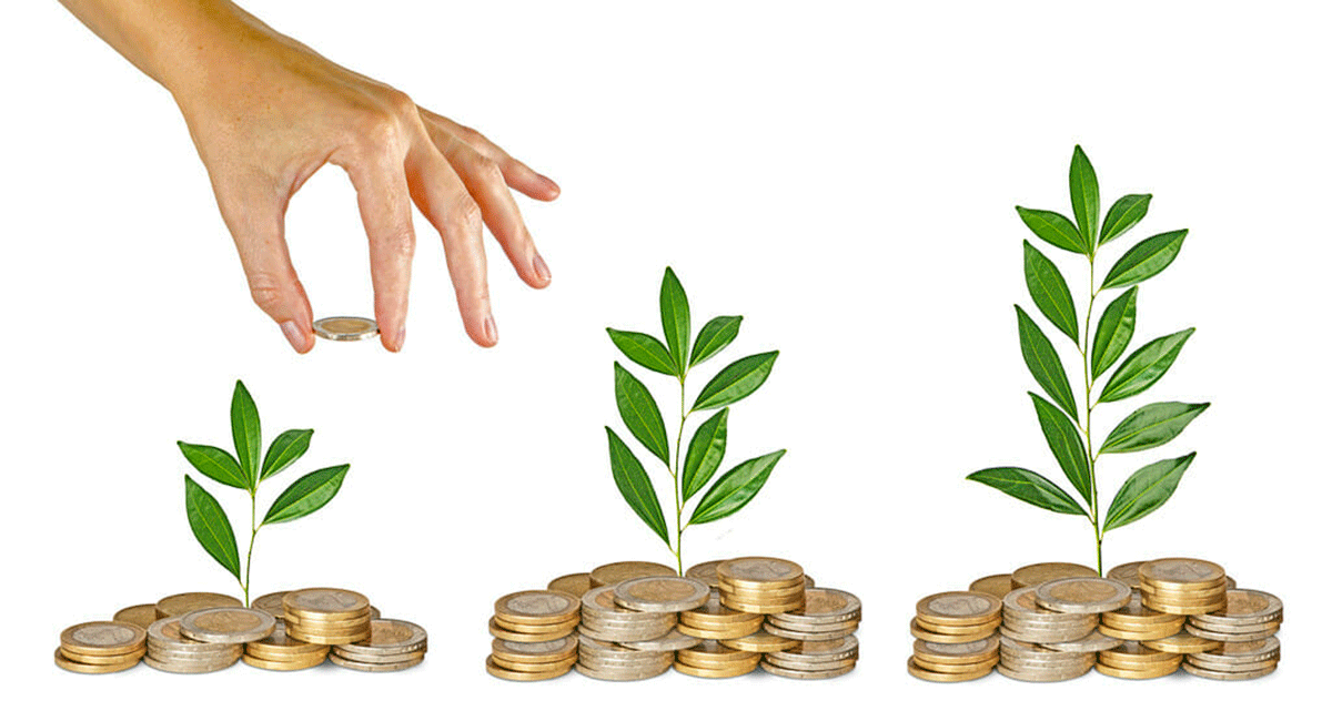 Investing Basics