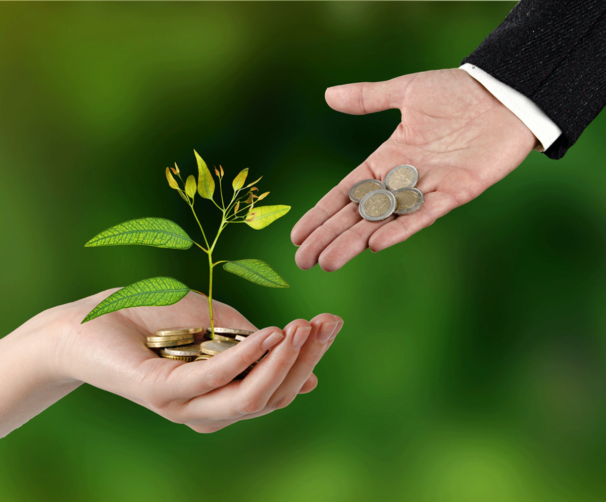 Basic understanding of investing